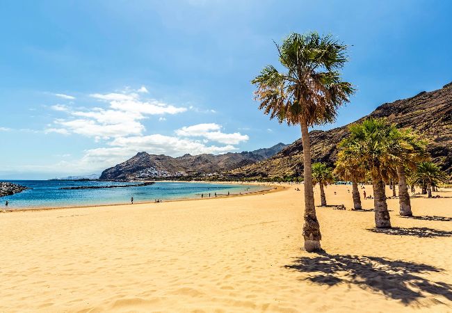 Apartamento en Santa Ursula - GreenDay Apartamento en Santa Ursula - GreenDay