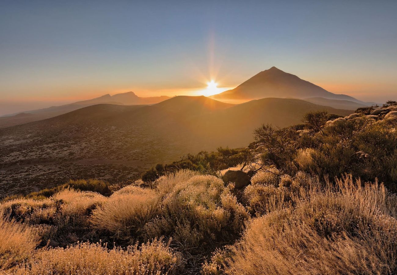 Apartamento en Santa Ursula - GreenDay Apartamento en Santa Ursula - GreenDay