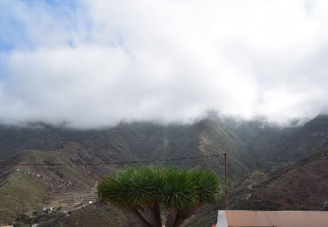 Casa rural en Santa Cruz de Tenerife - Casa Noni Casa rural en Santa Cruz de Tenerife - Casa Noni