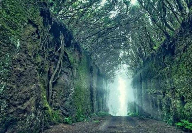 Casa rural en Santa Cruz de Tenerife - Casa Noni Casa rural en Santa Cruz de Tenerife - Casa Noni