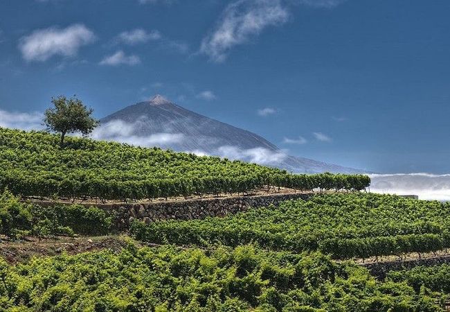 Apartamento en Tacoronte - Los Perales, Tacoronte Apartamento en Tacoronte - Los Perales, Tacoronte