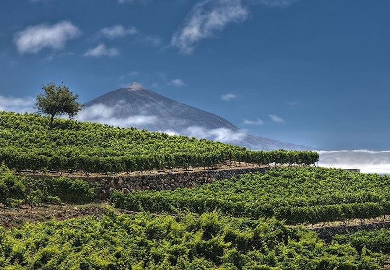 Apartamento en Tacoronte - Los Perales, Tacoronte Apartamento en Tacoronte - Los Perales, Tacoronte