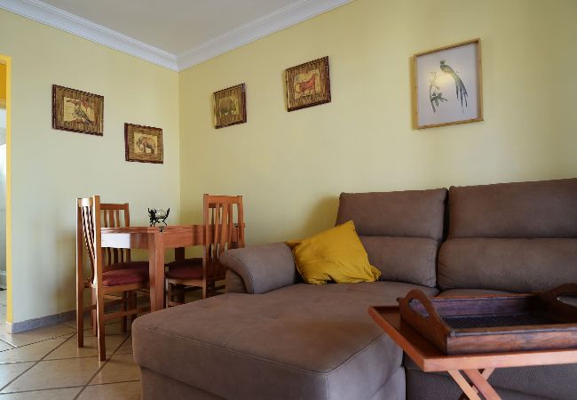 Residencial en Costa Adeje - Colonial Suite Residencial en Costa Adeje - Colonial Suite