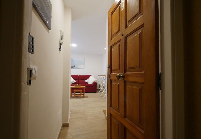 Apartamento en San Cristobal de La Laguna - Petite Maison, La Laguna Apartamento en San Cristobal de La Laguna - Petite Maison, La Laguna