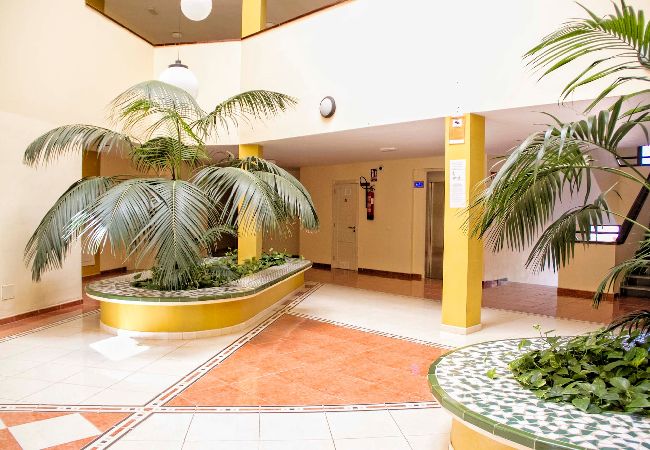 Apartamento en Puerto de Santiago - Sunset Apartment, Puerto Santiago Apartamento en Puerto de Santiago - Sunset Apartment, Puerto Santiago