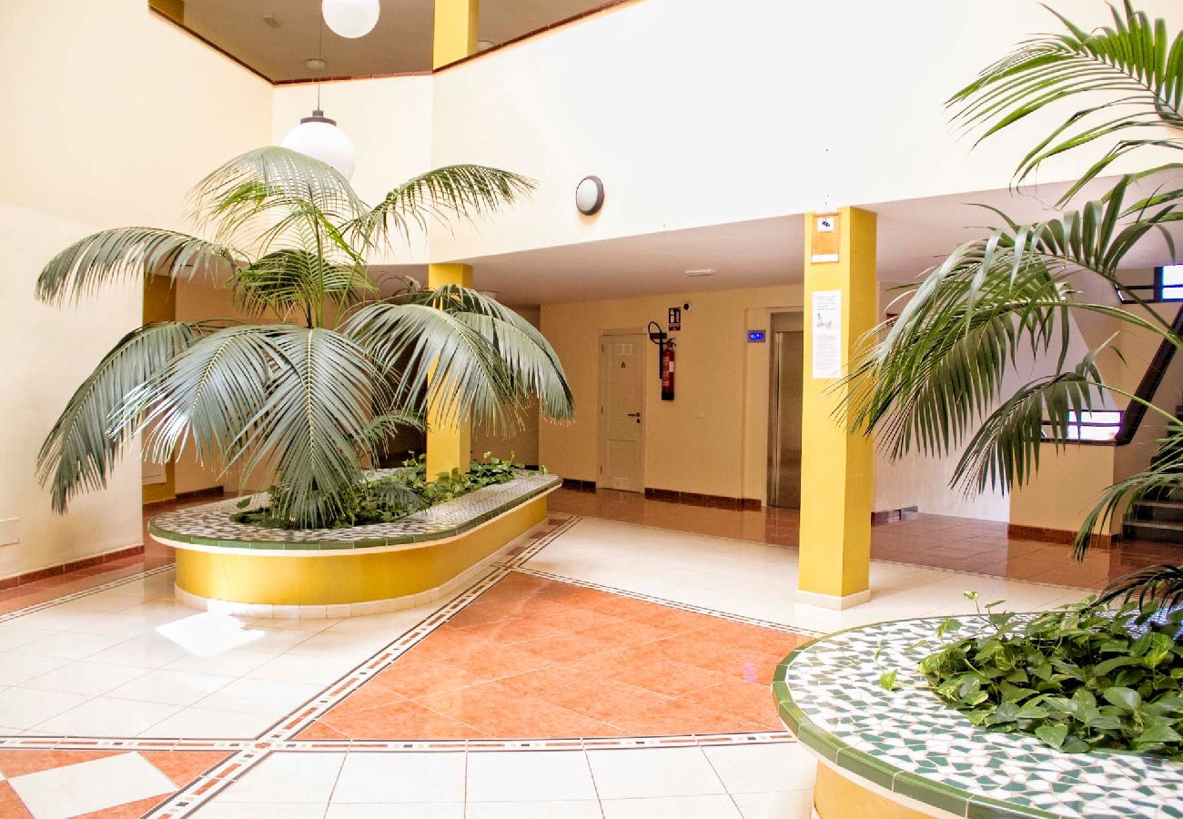 Apartamento en Puerto de Santiago - Sunset Apartment, Puerto Santiago Apartamento en Puerto de Santiago - Sunset Apartment, Puerto Santiago