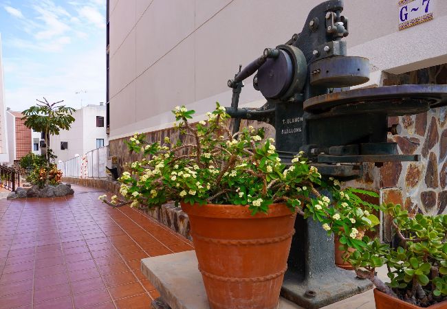 Apartamento en Alajeró - Beach Breeze, Playa Santiago Apartamento en Alajeró - Beach Breeze, Playa Santiago