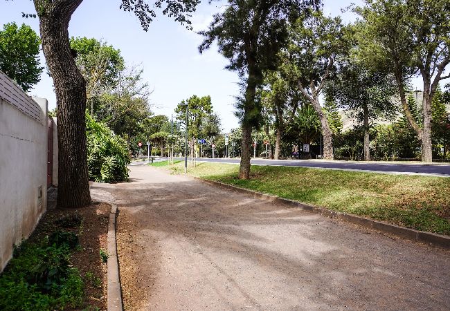 Casa en San Cristobal de La Laguna - Casa Las Peras, La Laguna Casa en San Cristobal de La Laguna - Casa Las Peras, La Laguna