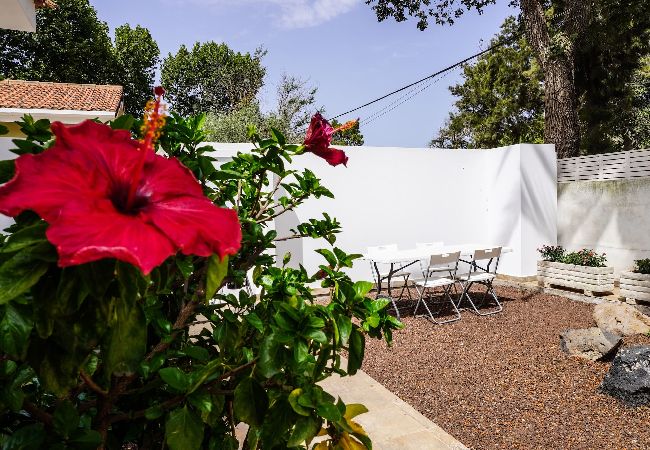 Casa en San Cristobal de La Laguna - Casa Las Peras, La Laguna Casa en San Cristobal de La Laguna - Casa Las Peras, La Laguna