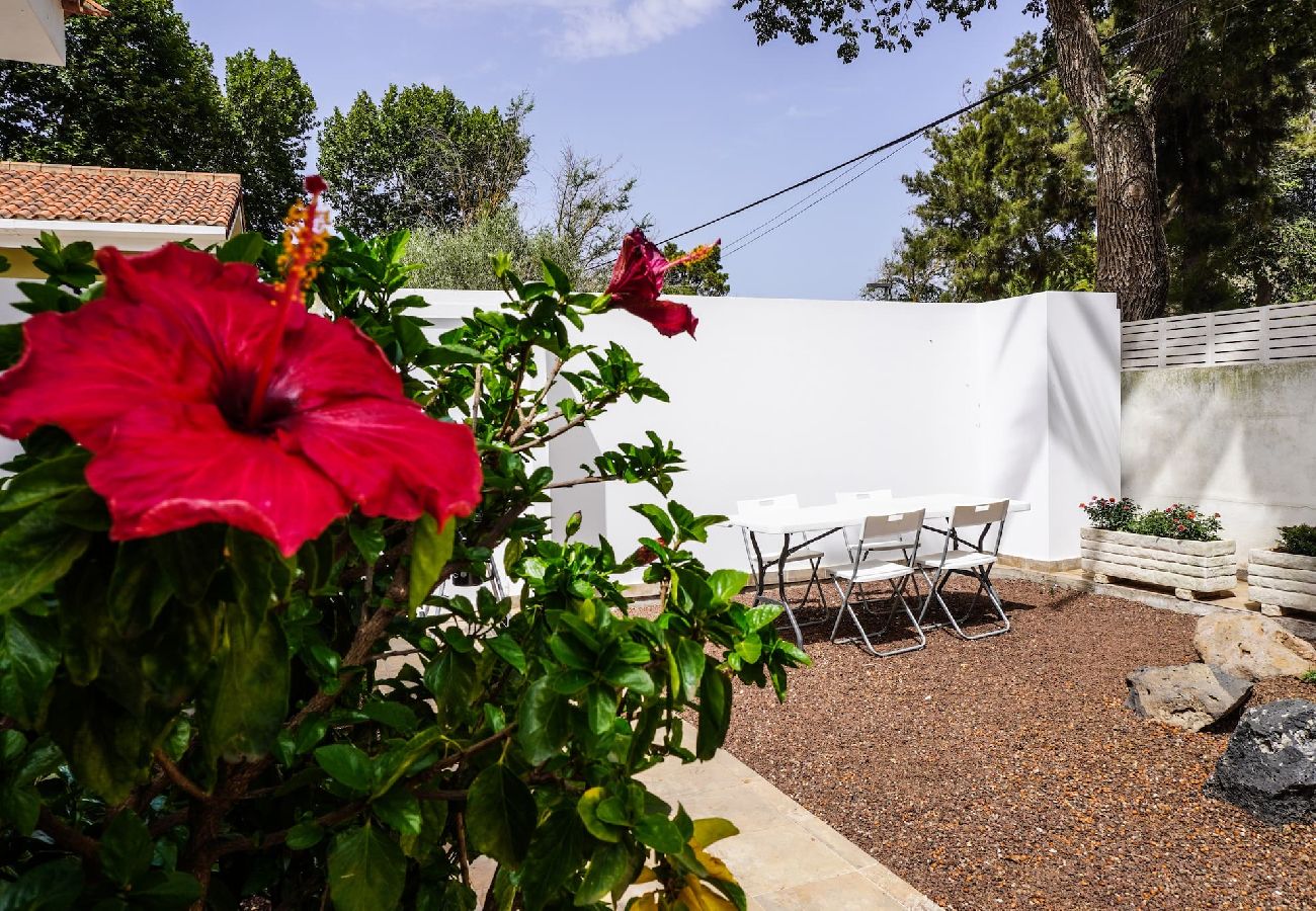 Casa en San Cristobal de La Laguna - Casa Las Peras, La Laguna Casa en San Cristobal de La Laguna - Casa Las Peras, La Laguna