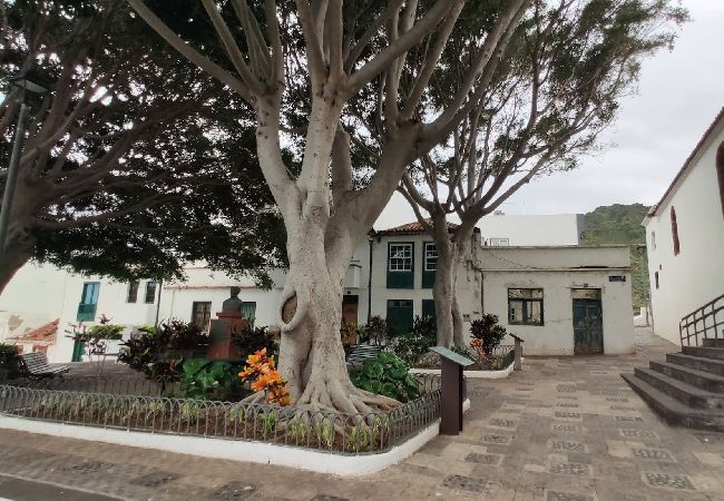 House in Santa Cruz de Tenerife - Casa La Poyata- Taganana House in Santa Cruz de Tenerife - Casa La Poyata- Taganana