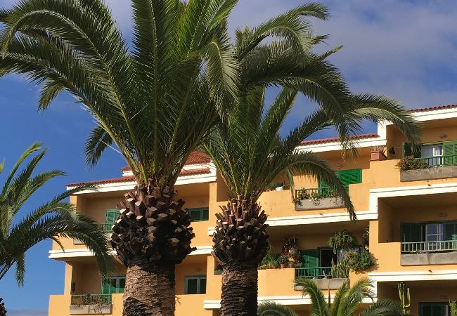 Apartment in Santa Ursula - GreenDay Apartment in Santa Ursula - GreenDay