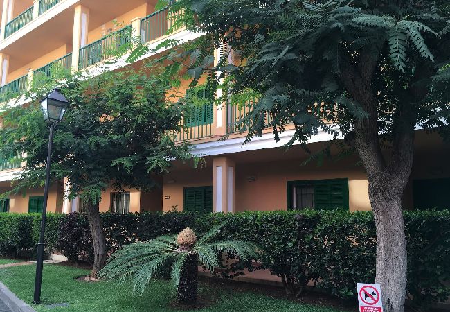 Apartment in Santa Ursula - GreenDay Apartment in Santa Ursula - GreenDay