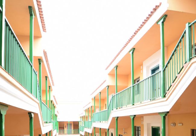 Apartment in Santa Ursula - GreenDay Apartment in Santa Ursula - GreenDay