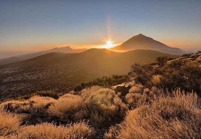 Apartment in Santa Ursula - GreenDay Apartment in Santa Ursula - GreenDay