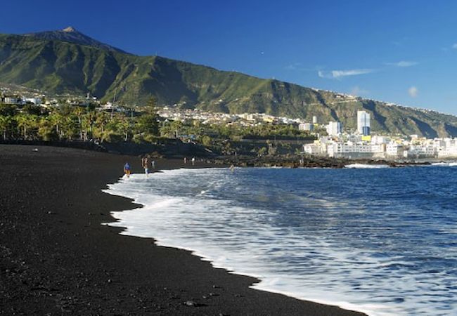 Apartment in Santa Ursula - GreenDay Apartment in Santa Ursula - GreenDay