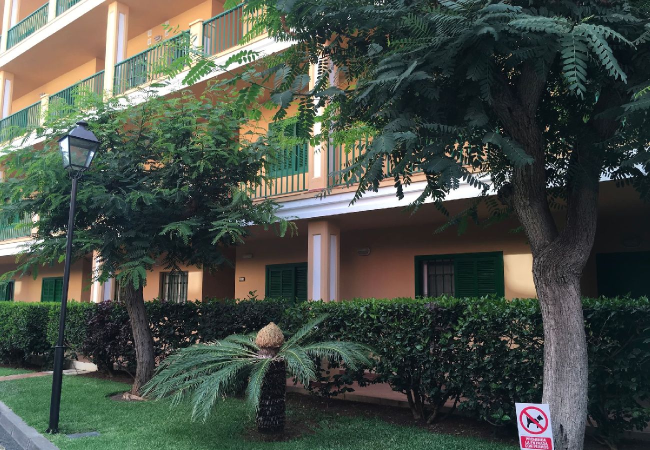 Apartment in Santa Ursula - GreenDay Apartment in Santa Ursula - GreenDay