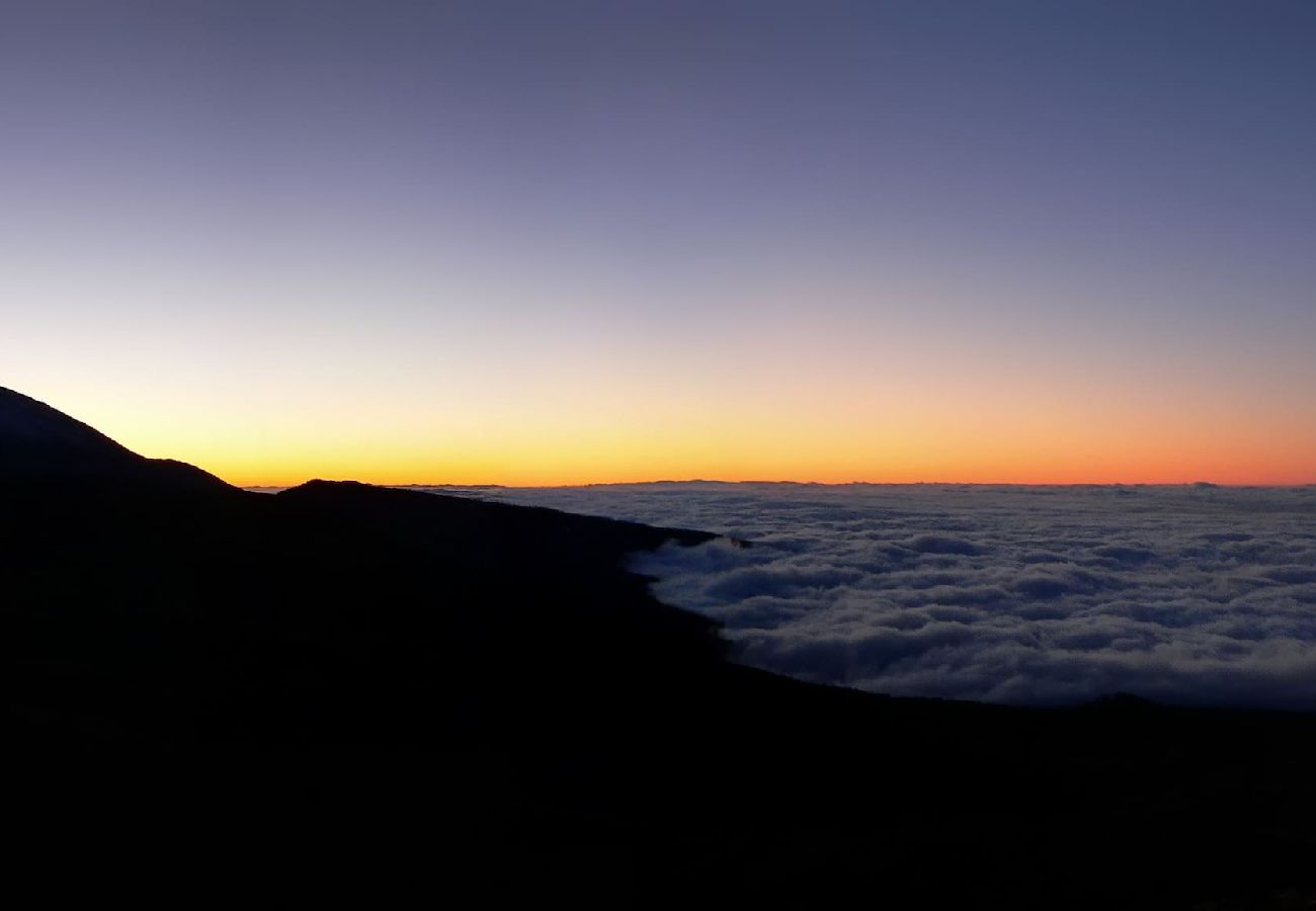 Apartment in Santa Ursula - GreenDay Apartment in Santa Ursula - GreenDay