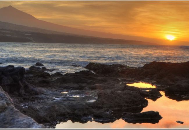 Terraced House in Punta del Hidalgo - La Mar Salá, Punta del Hidalgo Terraced House in Punta del Hidalgo - La Mar Salá, Punta del Hidalgo