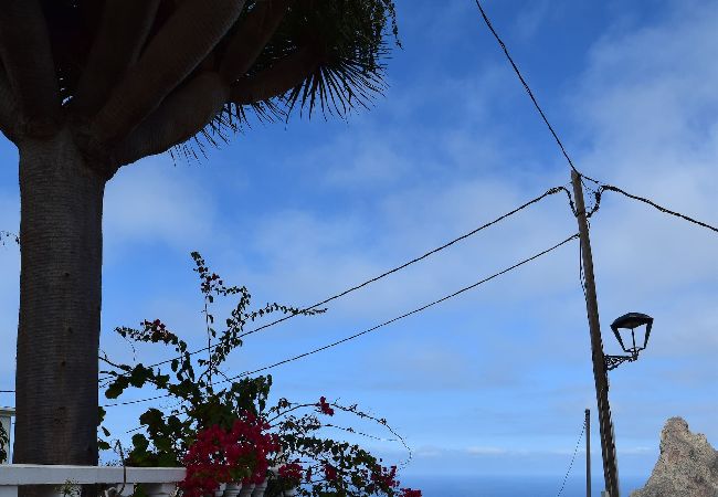 Cottage in Santa Cruz de Tenerife - Casa Noni Cottage in Santa Cruz de Tenerife - Casa Noni