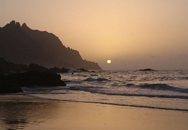 Cottage in Santa Cruz de Tenerife - Casa Noni Cottage in Santa Cruz de Tenerife - Casa Noni