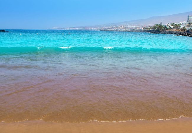 Residence in Costa Adeje - Colonial Suite Residence in Costa Adeje - Colonial Suite