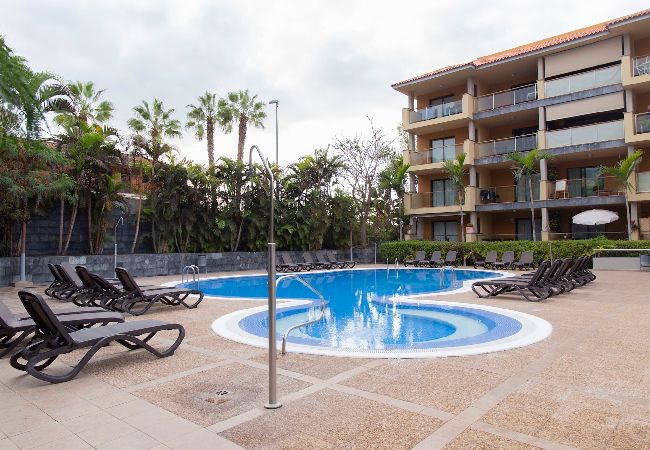 Residence in Puerto de la Cruz - Sweet Home Puerto de la Cruz Residence in Puerto de la Cruz - Sweet Home Puerto de la Cruz