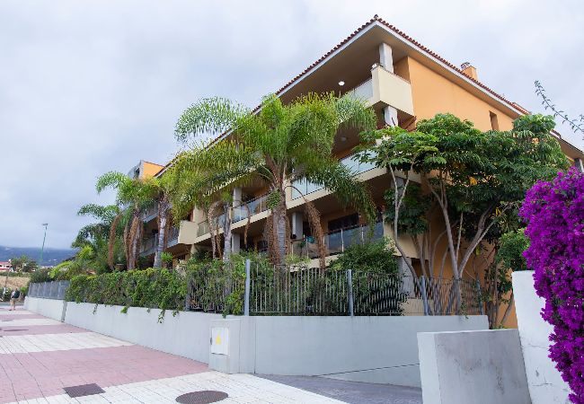 Residence in Puerto de la Cruz - Sweet Home Puerto de la Cruz Residence in Puerto de la Cruz - Sweet Home Puerto de la Cruz