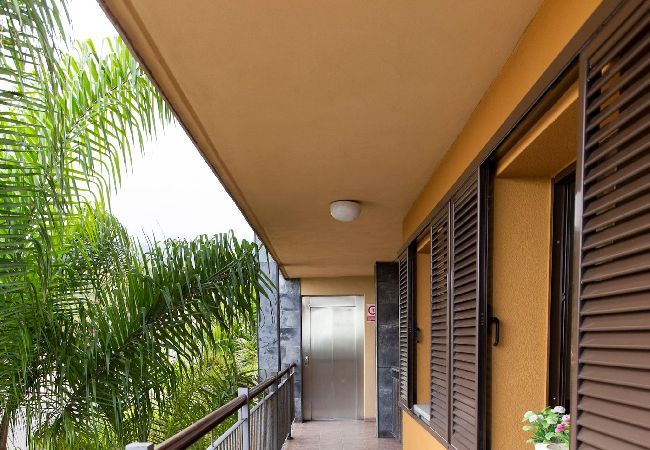 Residence in Puerto de la Cruz - Sweet Home Puerto de la Cruz Residence in Puerto de la Cruz - Sweet Home Puerto de la Cruz