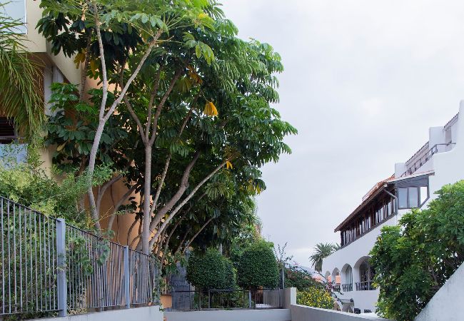 Residence in Puerto de la Cruz - Sweet Home Puerto de la Cruz Residence in Puerto de la Cruz - Sweet Home Puerto de la Cruz