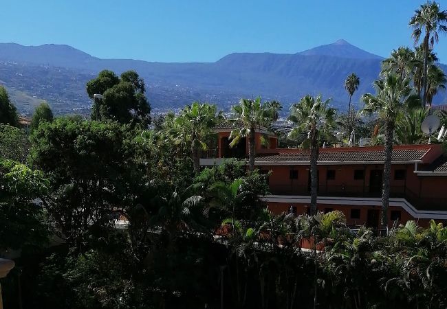Residence in Puerto de la Cruz - Sweet Home Puerto de la Cruz Residence in Puerto de la Cruz - Sweet Home Puerto de la Cruz