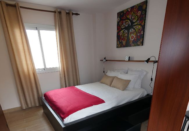 Apartment in San Cristobal de La Laguna - Petite Maison, La Laguna Apartment in San Cristobal de La Laguna - Petite Maison, La Laguna