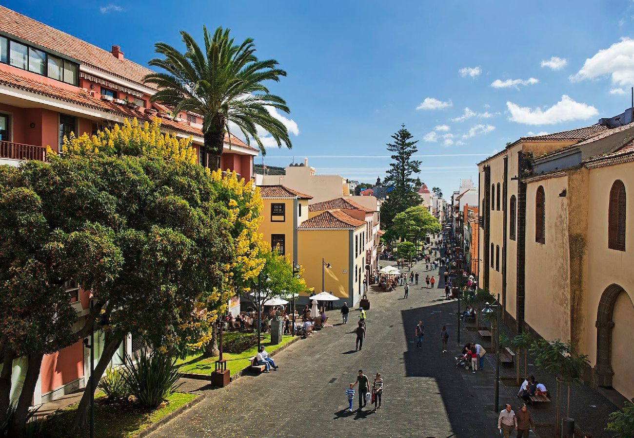 Apartment in San Cristobal de La Laguna - Petite Maison, La Laguna Apartment in San Cristobal de La Laguna - Petite Maison, La Laguna