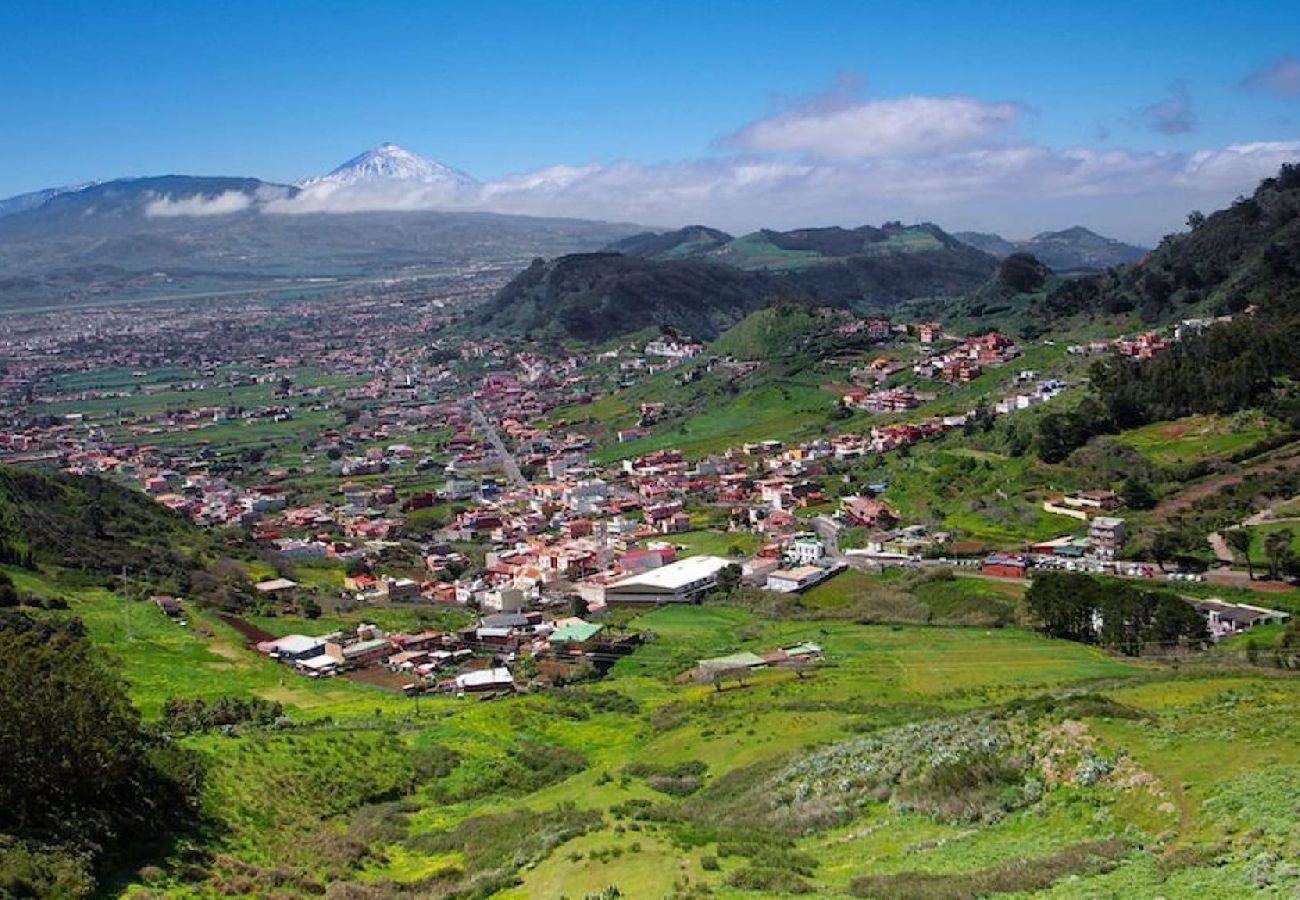 Apartment in San Cristobal de La Laguna - Petite Maison, La Laguna Apartment in San Cristobal de La Laguna - Petite Maison, La Laguna