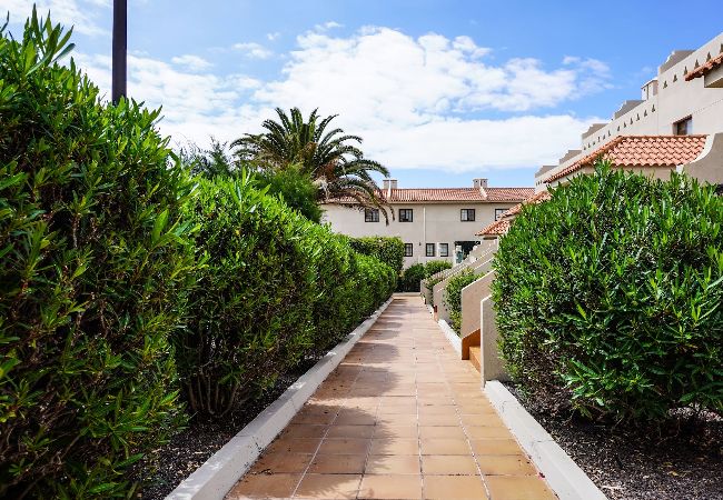 House in Granadilla de Abona - Bright House With Working Space House in Granadilla de Abona - Bright House With Working Space