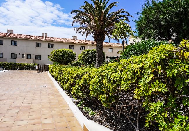 House in Granadilla de Abona - Bright House With Working Space House in Granadilla de Abona - Bright House With Working Space