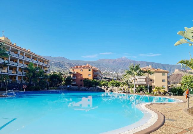 Residence in Puerto de la Cruz - Retama del Teide, Pto de la Cruz Residence in Puerto de la Cruz - Retama del Teide, Pto de la Cruz