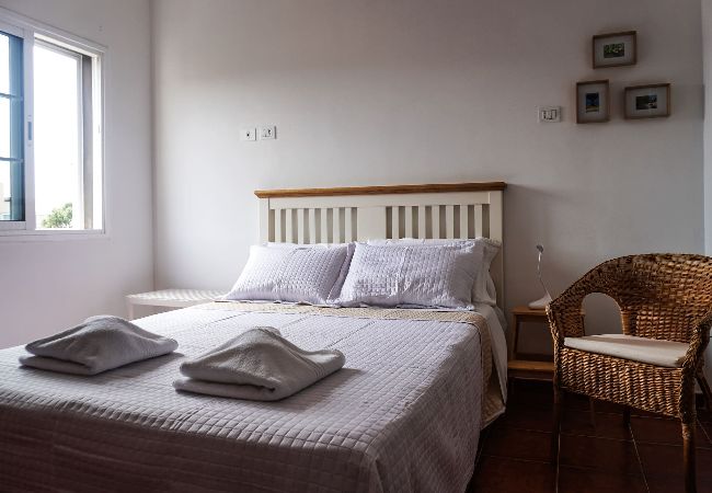 Apartment in San Cristobal de La Laguna - Cozy House in La Laguna Apartment in San Cristobal de La Laguna - Cozy House in La Laguna