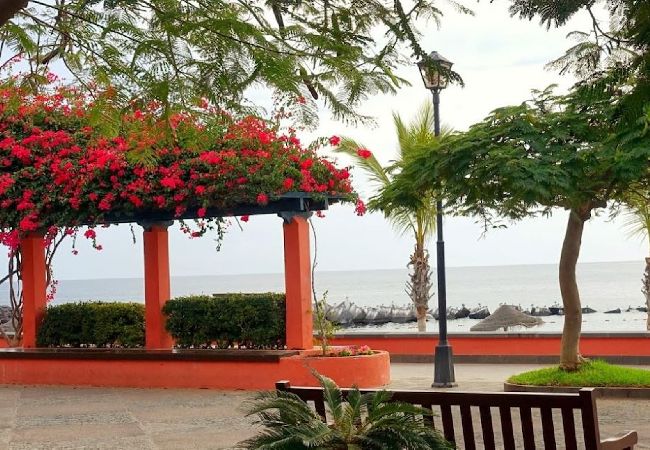 Apartment in Playa de San Juan - Ocean View, Playa San Juan Apartment in Playa de San Juan - Ocean View, Playa San Juan