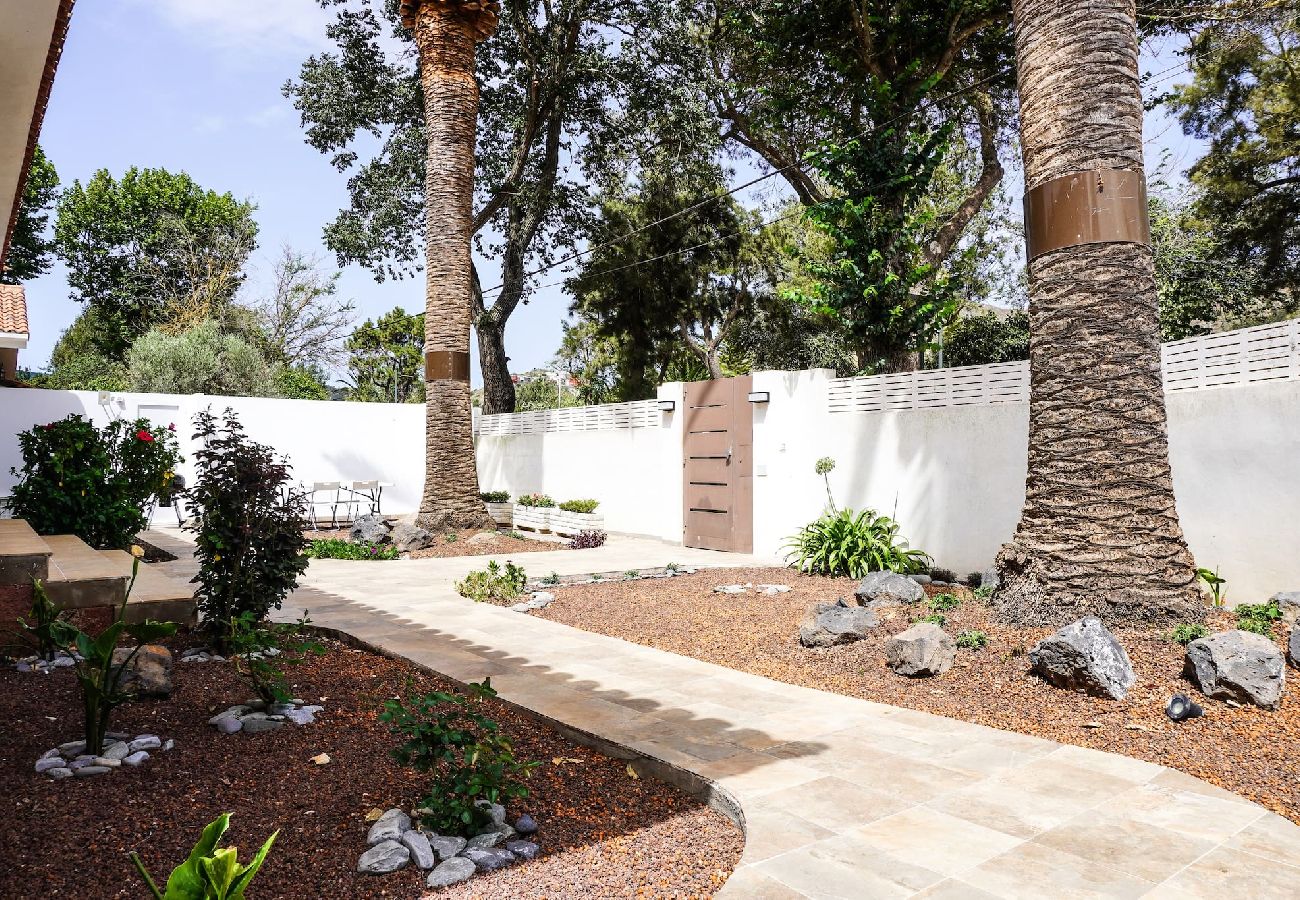 House in San Cristobal de La Laguna - Casa Las Peras, La Laguna House in San Cristobal de La Laguna - Casa Las Peras, La Laguna