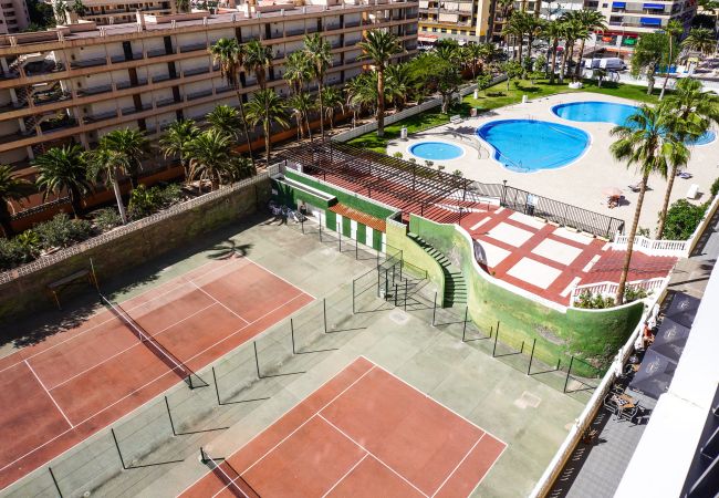 Apartment in Los Cristianos - Vistamar, Los Cristianos Apartment in Los Cristianos - Vistamar, Los Cristianos