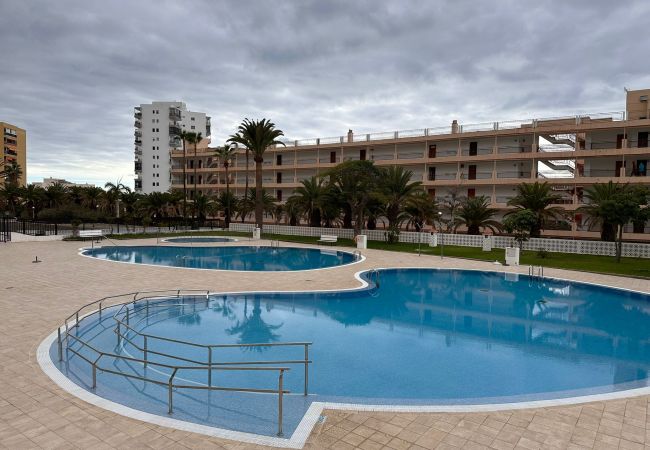 Apartment in Los Cristianos - Vistamar, Los Cristianos Apartment in Los Cristianos - Vistamar, Los Cristianos