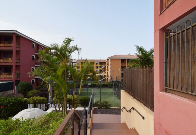 Apartment in Palm - Mar - El Mocán Perfect Stay Apartment in Palm - Mar - El Mocán Perfect Stay