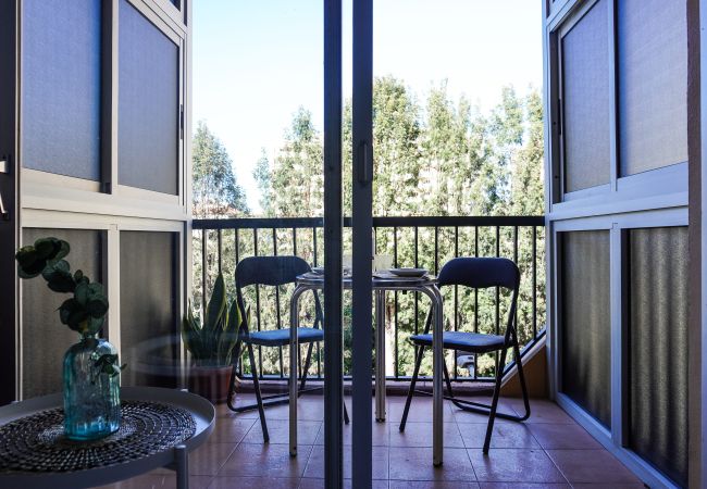 Studio in Puerto de la Cruz - Modern Studio Seguro del Sol Studio in Puerto de la Cruz - Modern Studio Seguro del Sol