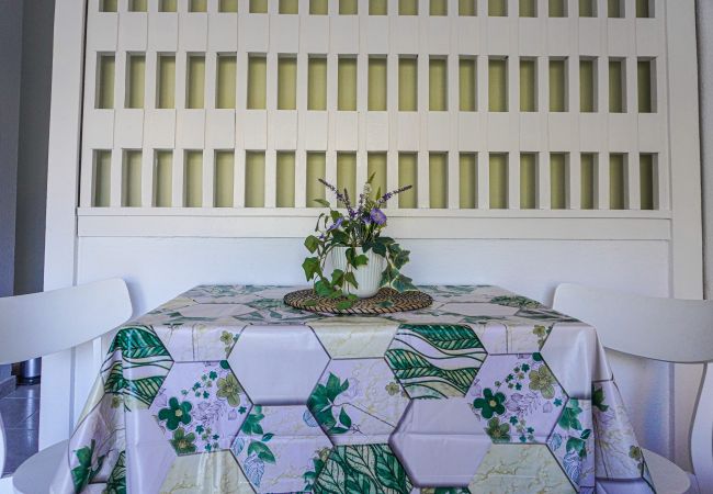 Studio in Puerto de la Cruz - Modern Studio Seguro del Sol Studio in Puerto de la Cruz - Modern Studio Seguro del Sol