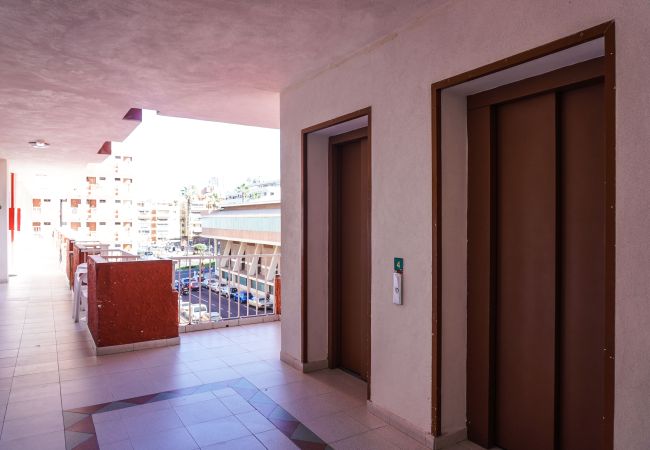 Studio in Puerto de la Cruz - Modern Studio Seguro del Sol Studio in Puerto de la Cruz - Modern Studio Seguro del Sol