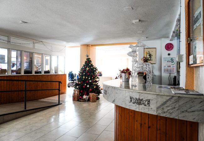 Studio in Puerto de la Cruz - Modern Studio Seguro del Sol Studio in Puerto de la Cruz - Modern Studio Seguro del Sol