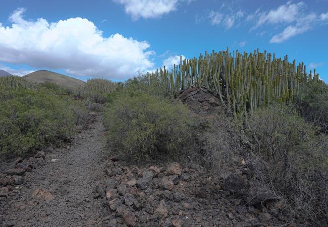 Apartment in Puertito de Güímar - Puertito SeaSide Apartment in Puertito de Güímar - Puertito SeaSide