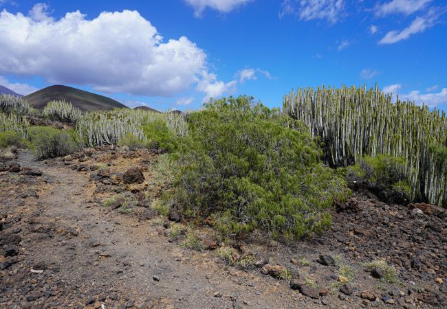 Apartment in Puertito de Güímar - Puertito SeaSide Apartment in Puertito de Güímar - Puertito SeaSide