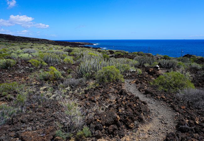 Apartment in Puertito de Güímar - Puertito SeaSide Apartment in Puertito de Güímar - Puertito SeaSide